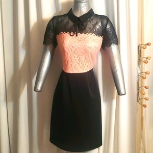 Knee length pink and black lace dress